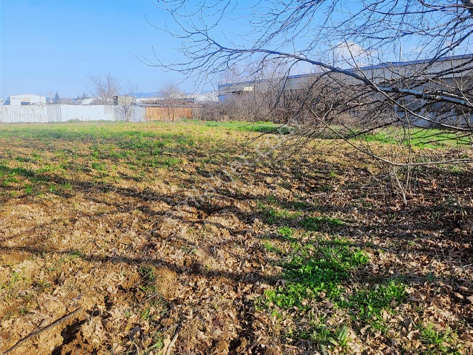 Çalı Da Sanayi İmarlı 3614 M2 Tek Tapu Arsa - Görsel 4