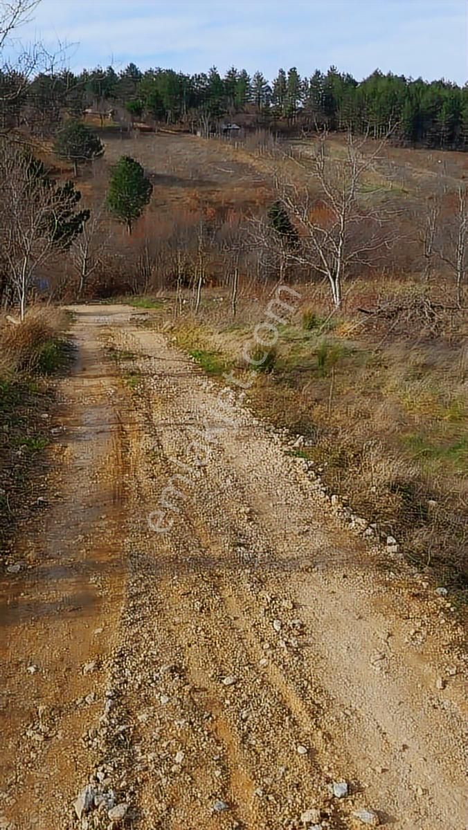 Kestel Orhaniye'de Müstakil Tapulu Satılık Tarla... - Görsel 2