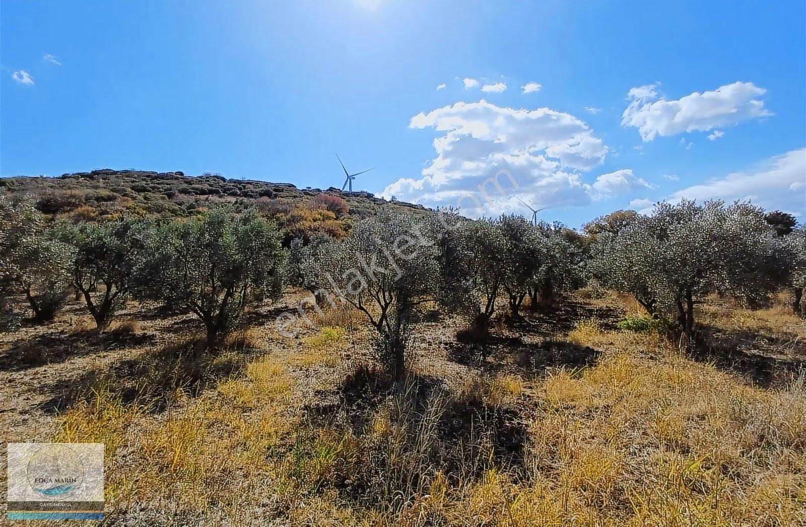 Aliağa Organize San.ve Yalı Mh. Merkeze Yakın 4.950 M2 Tarla - Görsel 10