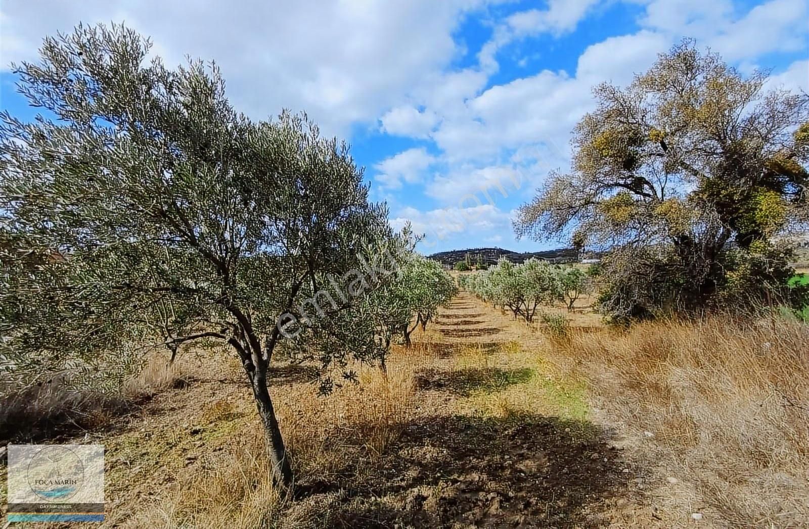 Aliağa Organize San.ve Yalı Mh. Merkeze Yakın 4.950 M2 Tarla - Görsel 2