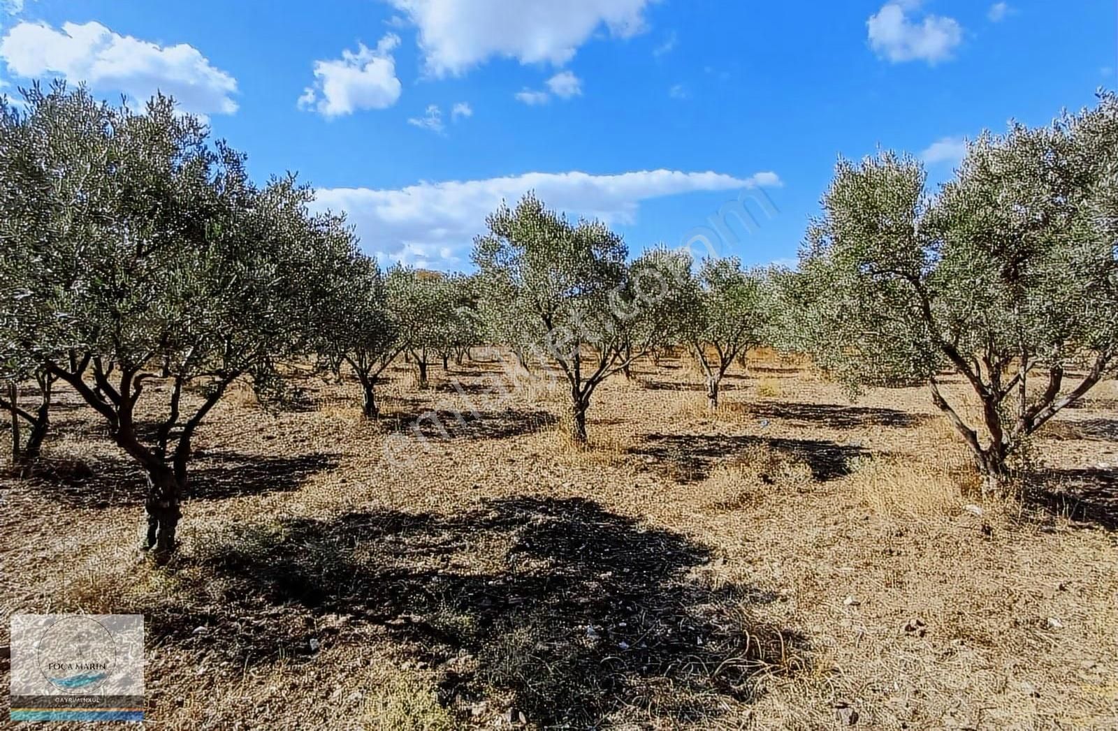 Aliağa Organize San.ve Yalı Mh. Merkeze Yakın 4.950 M2 Tarla - Görsel 5