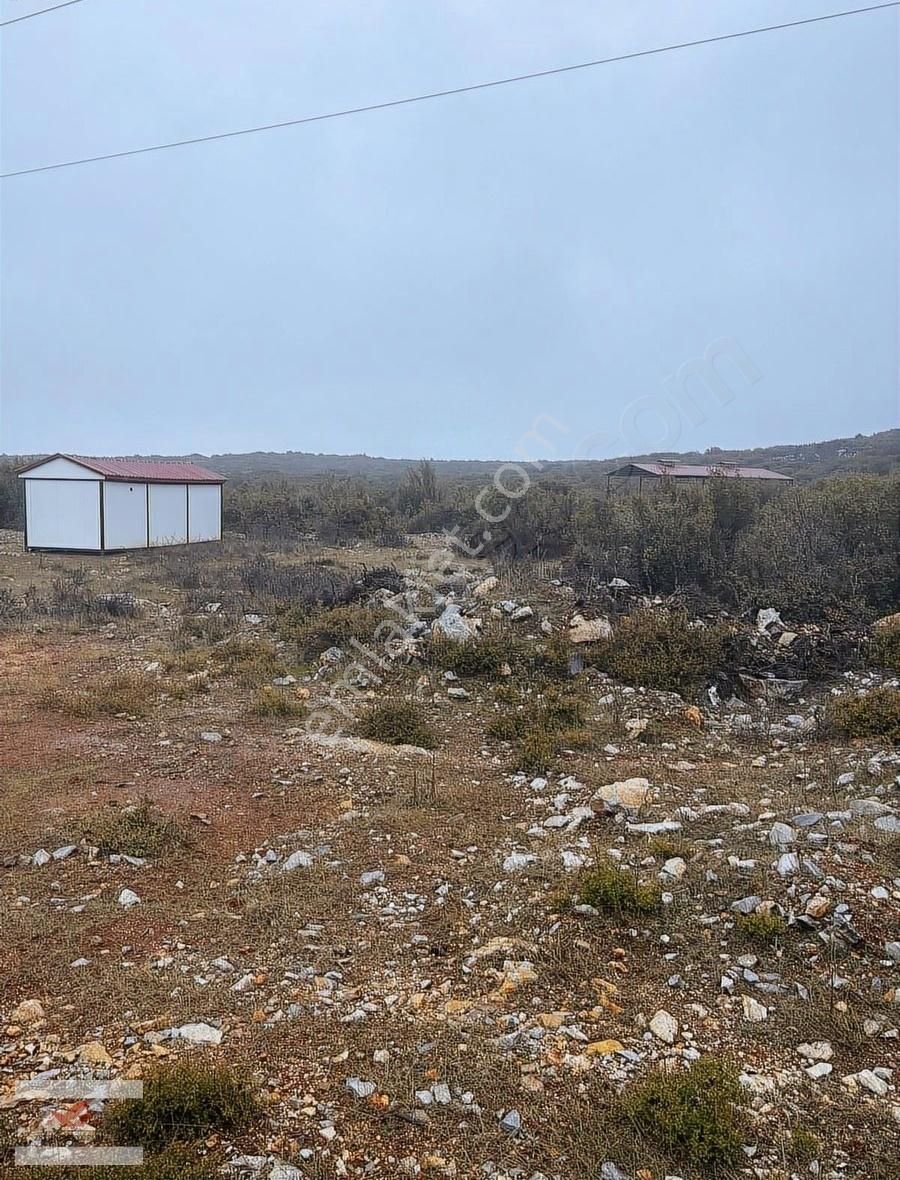 Muğla Menteşe İkizce De 1955 Metre Tarla - Görsel 4