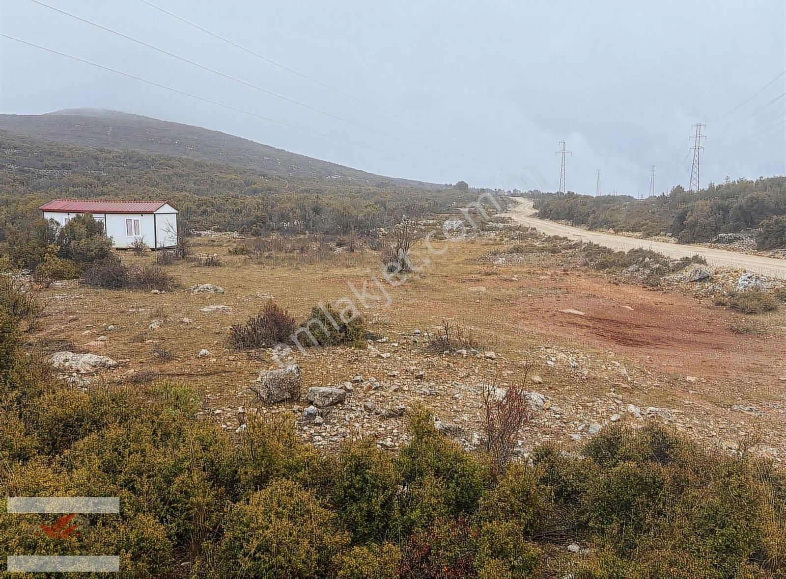 Muğla Menteşe İkizce De 1955 Metre Tarla - Görsel 10