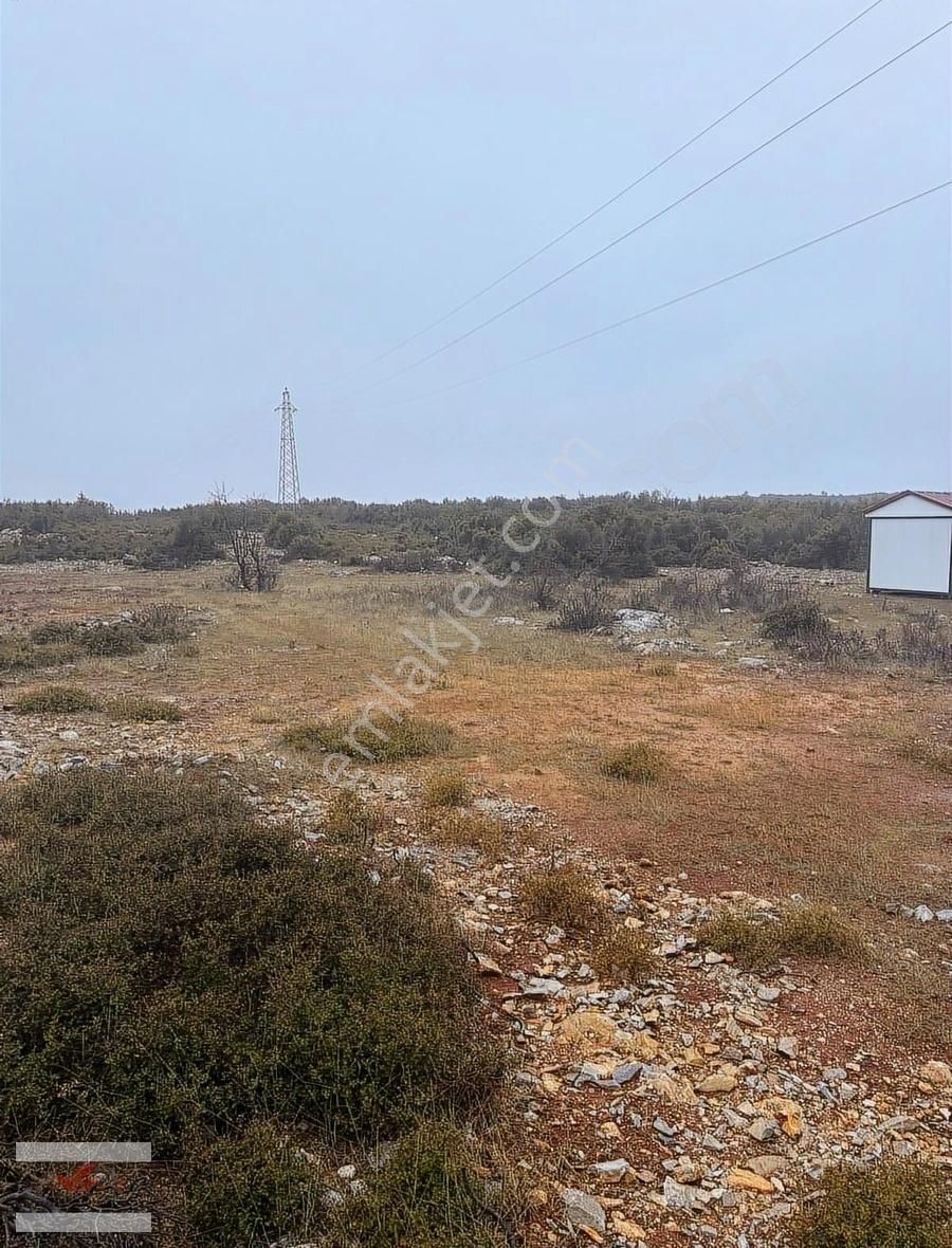 Muğla Menteşe İkizce De 1955 Metre Tarla - Görsel 5