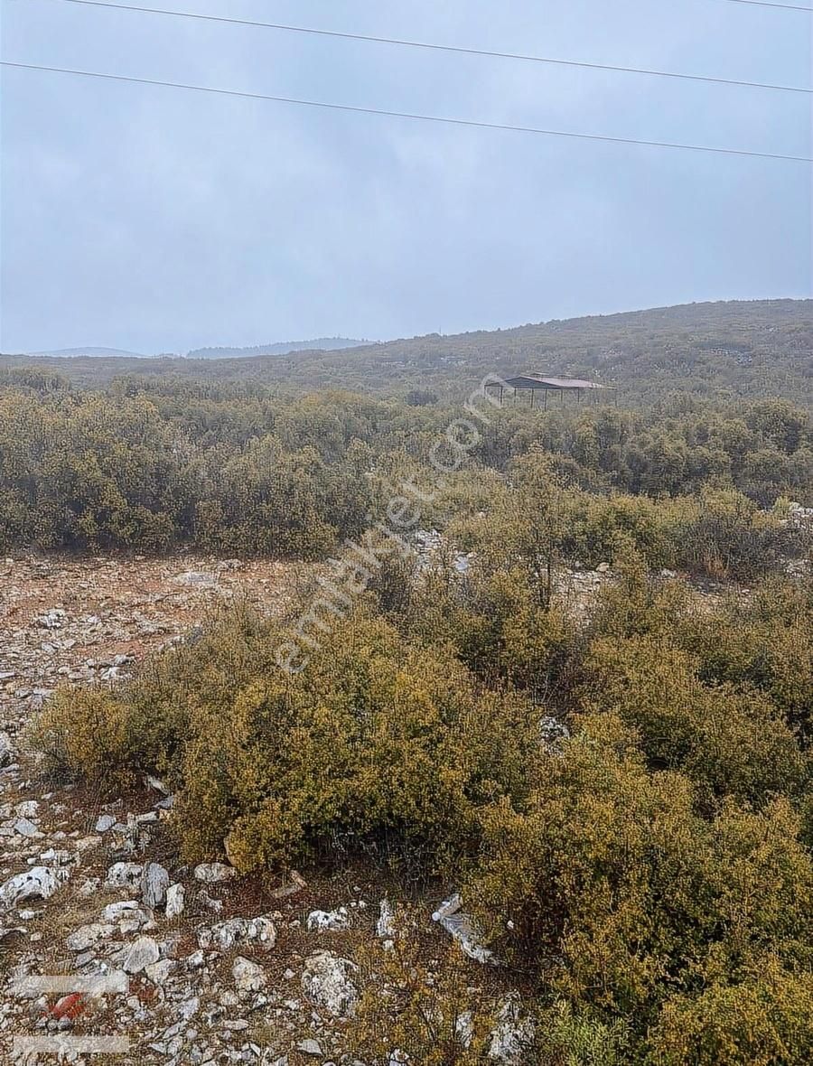 Muğla Menteşe İkizce De 1955 Metre Tarla - Görsel 2