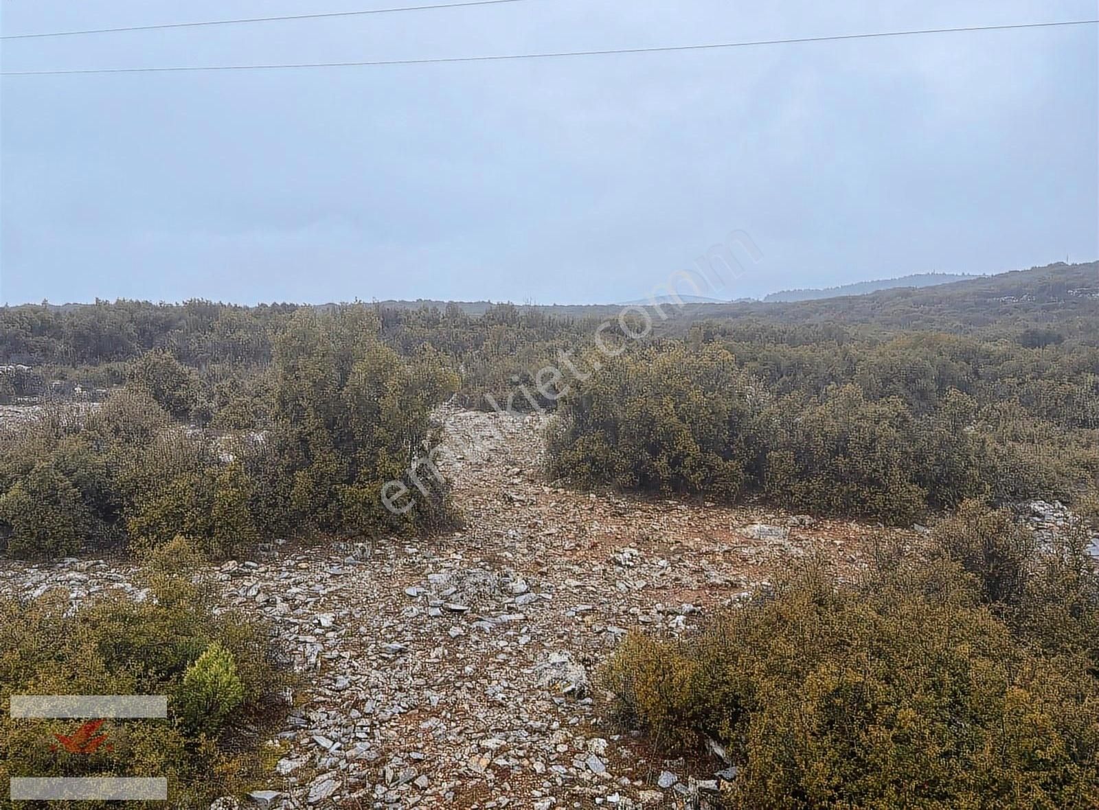 Muğla Menteşe İkizce De 1955 Metre Tarla - Görsel 12
