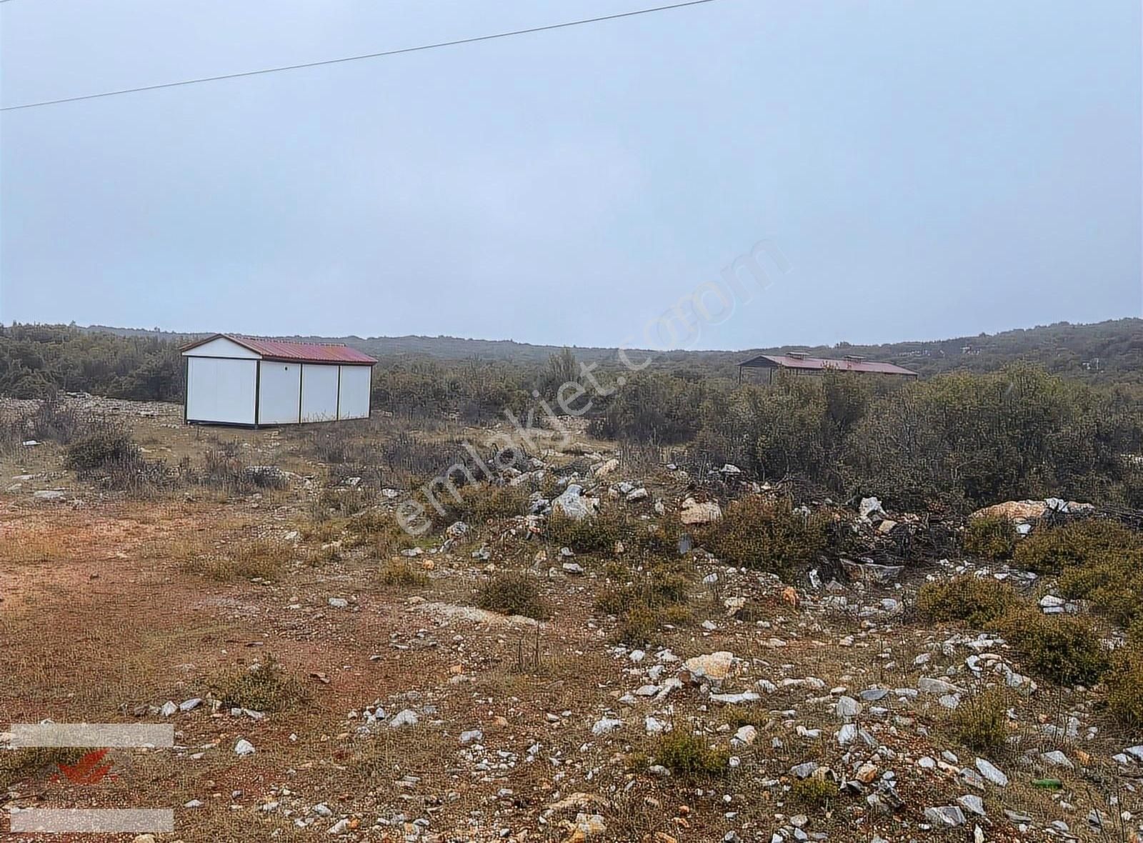 Muğla Menteşe İkizce De 1955 Metre Tarla - Görsel 3