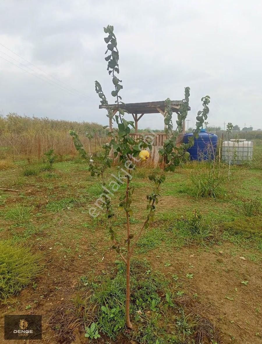 Turkelli De Satılık 275 Metre Bahçe - Görsel 10