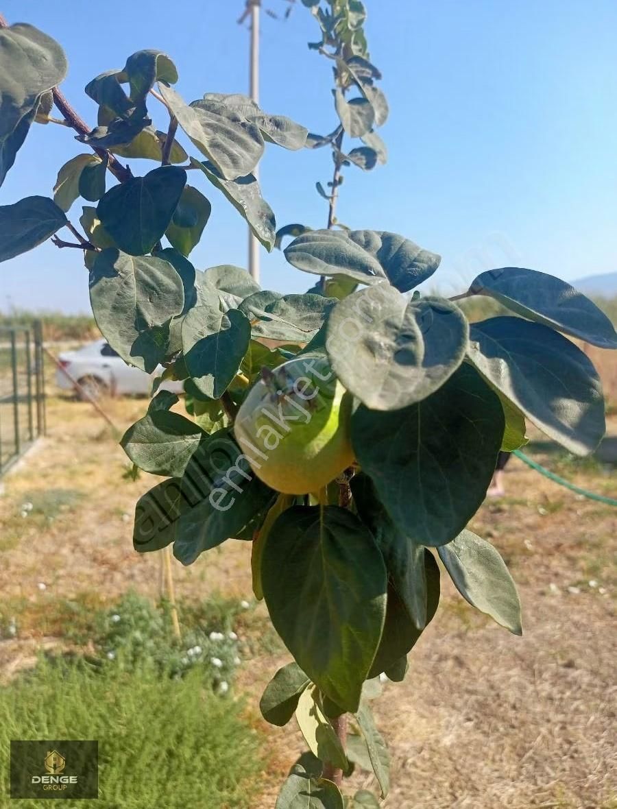 Turkelli De Satılık 275 Metre Bahçe - Görsel 13