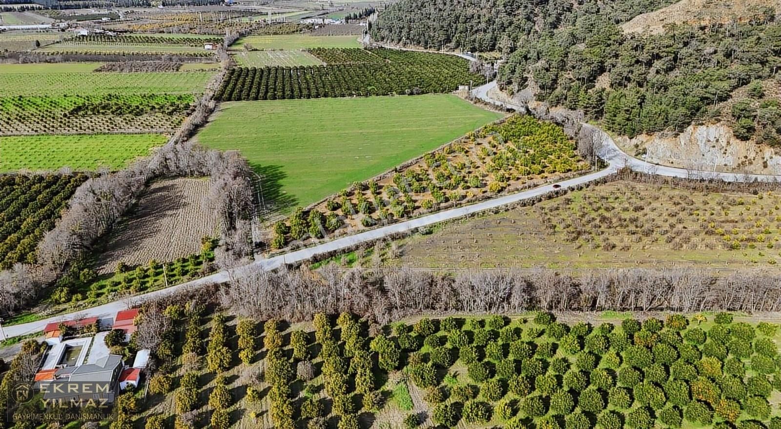 Ortaca'da Tepearasında 15.508 M² Narenciye Bahçesi: Yola Cepheli - Görsel 2