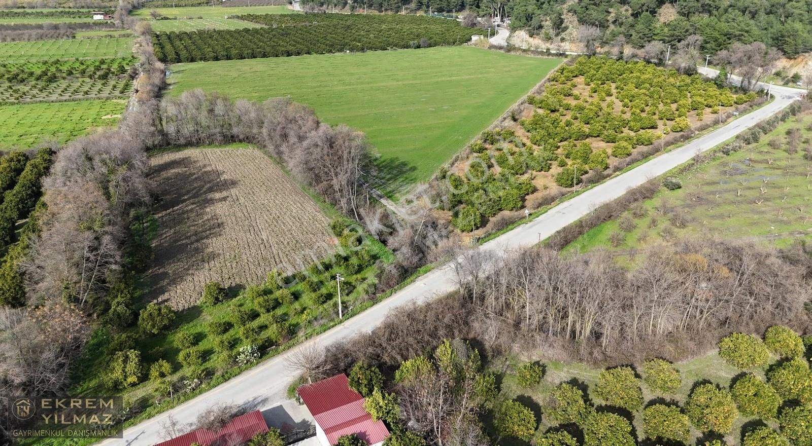 Ortaca'da Tepearasında 15.508 M² Narenciye Bahçesi: Yola Cepheli - Görsel 3