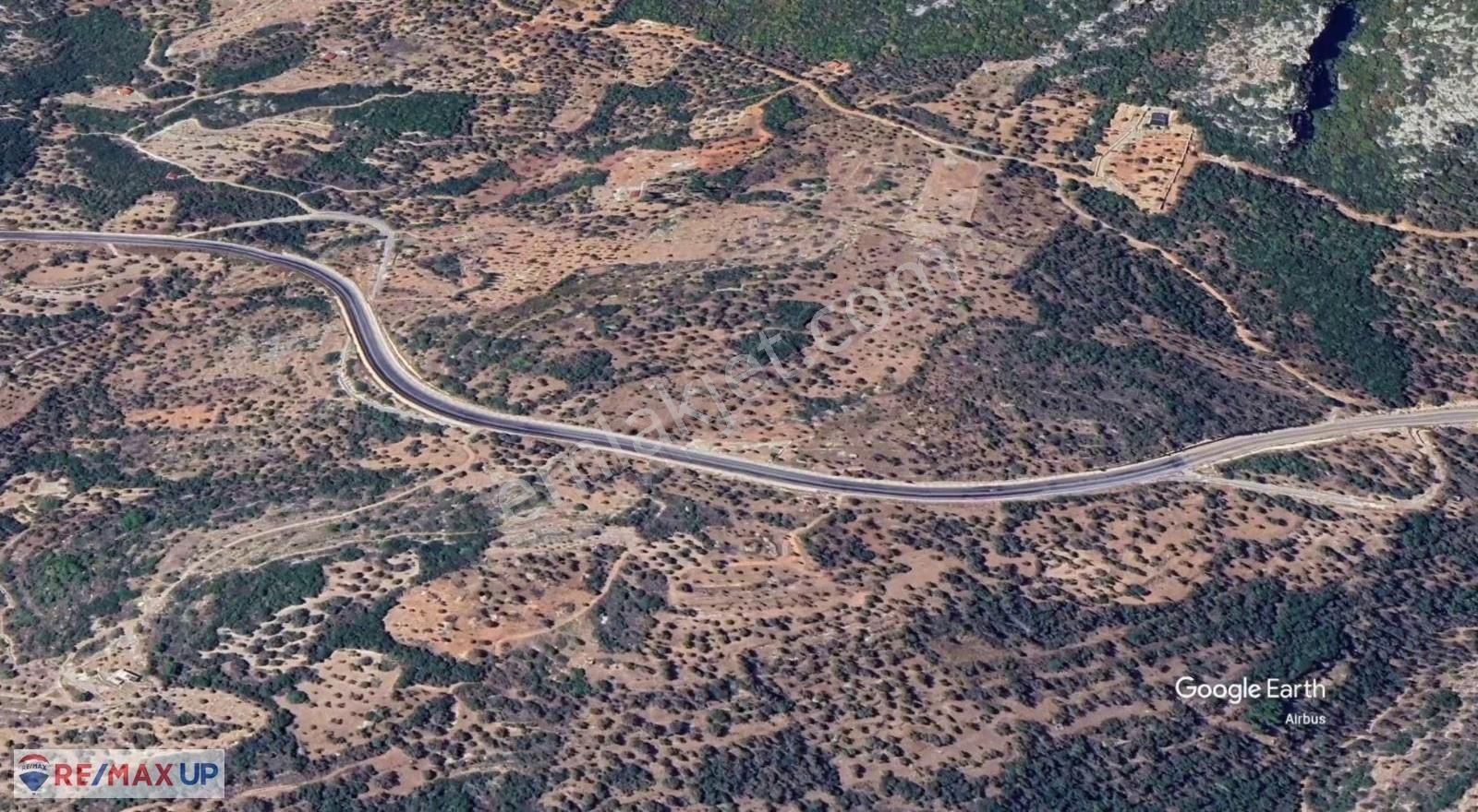 Karaburunda Ana Yola Cepheli Zeytinlik - Görsel 5