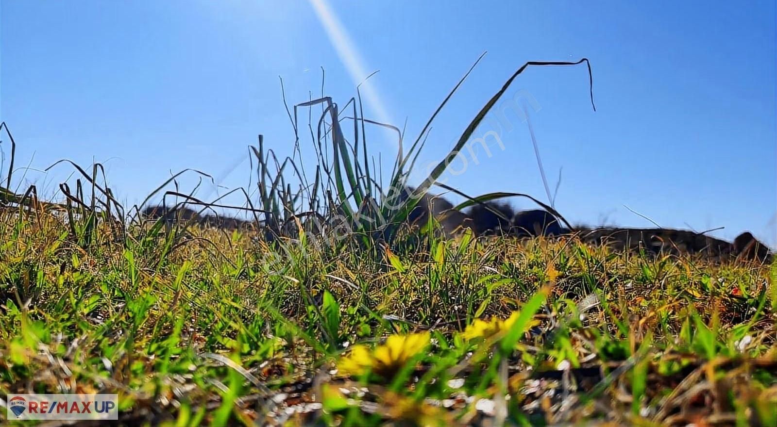 Karaburun Badembükü | Denize Sıfır, Özel Konumda 2 Parsel - Görsel 11