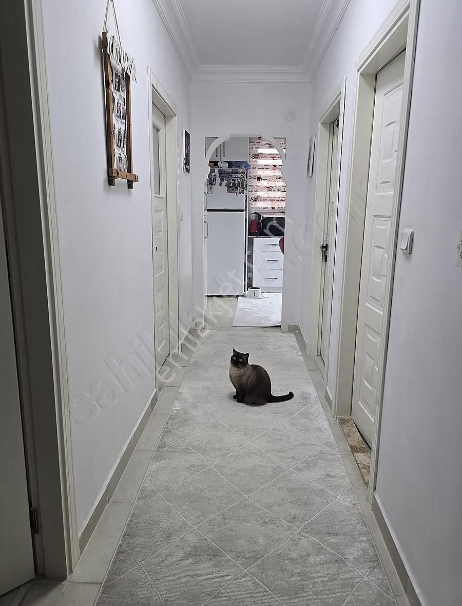 Ahatlı Da Bakımlı Satılık Yüksek Giriş 2+1 Daire - Görsel 8