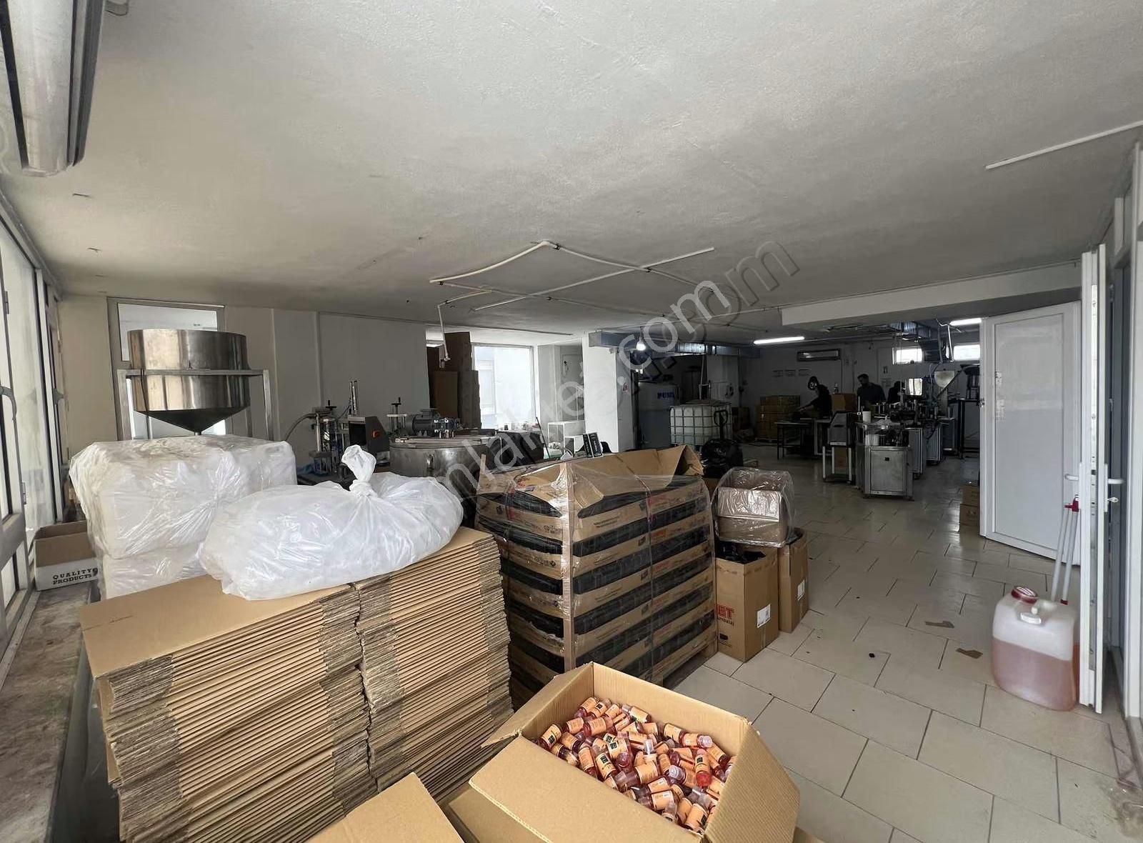 Altınova Sinan Mahallesinde Kiralık Ruhsatlı 1100 M² İş Merkezi - Görsel 11