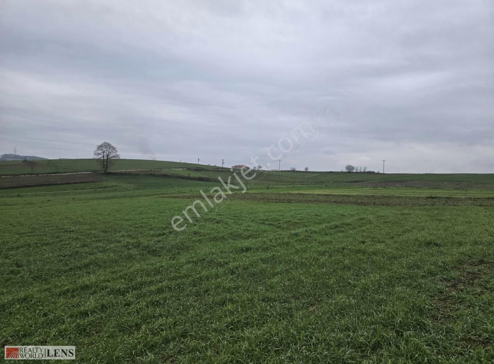 Kaynarca Merkeze 4 Km Osmanlı Köyünde Şekli Düzgün 999m² Arazi - Görsel 16