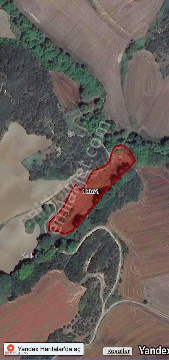 Çanakkale Gelibolu Fındıklı Köyünde Satılık Tarla - Görsel 6