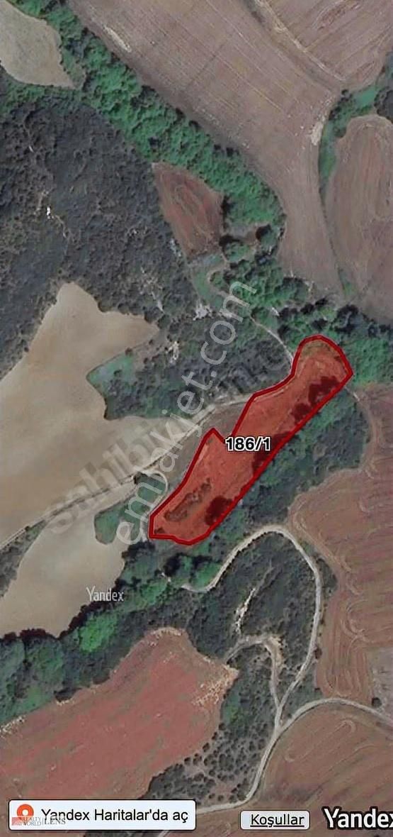 Çanakkale Gelibolu Fındıklı Köyünde Satılık Tarla - Görsel 4