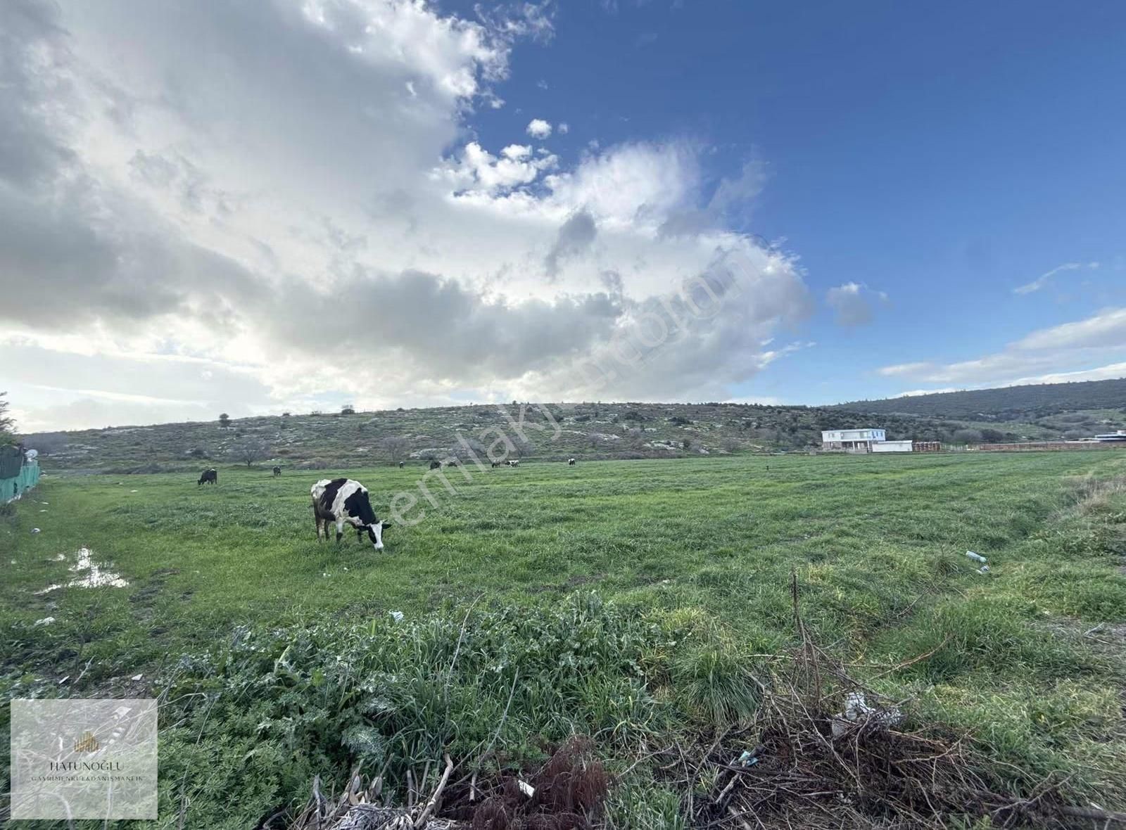 Hatunoğlu'ndan Satılık Eski Foça Yolu'na 200 M 5244 M2 Tarla - Görsel 9