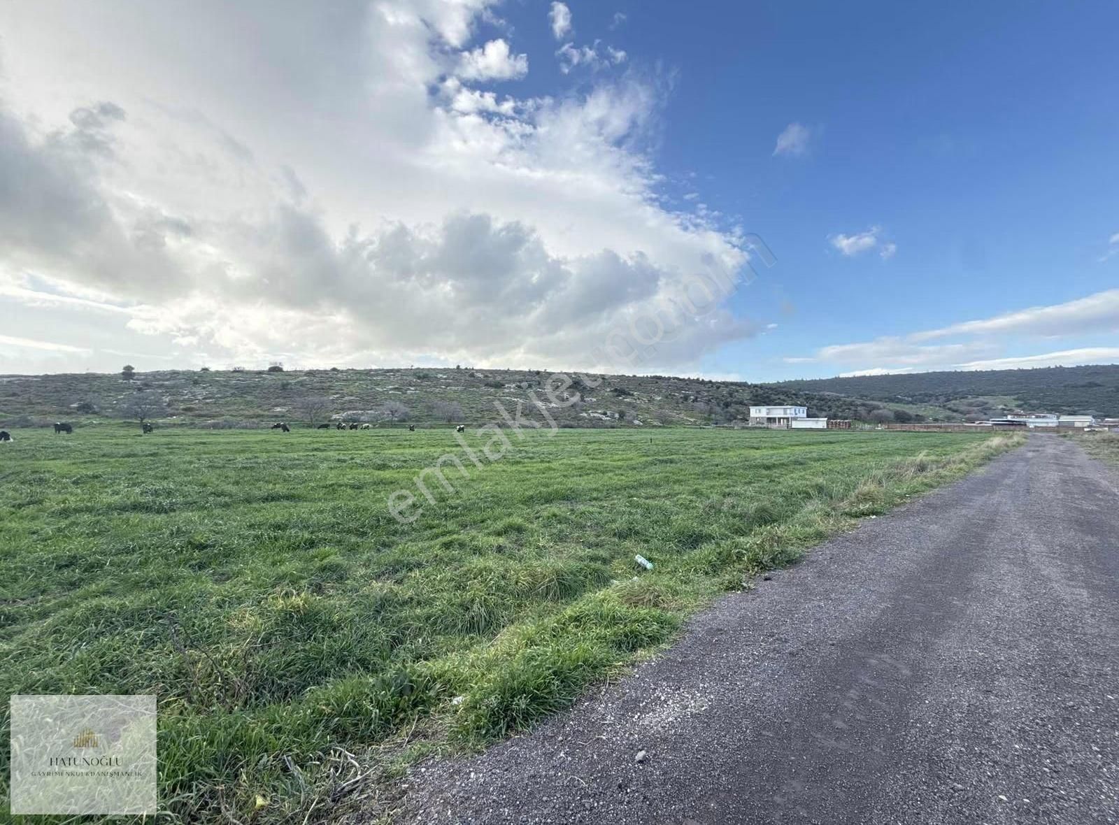Hatunoğlu'ndan Satılık Eski Foça Yolu'na 200 M 5244 M2 Tarla