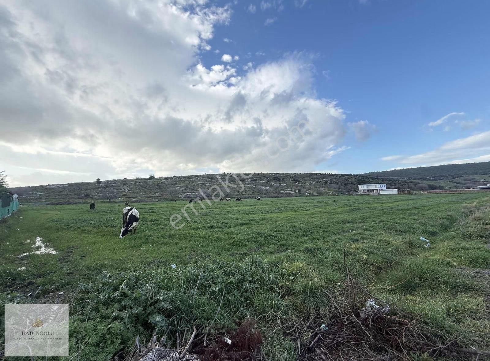 Hatunoğlu'ndan Satılık Eski Foça Yolu'na 200 M 5244 M2 Tarla - Görsel 10