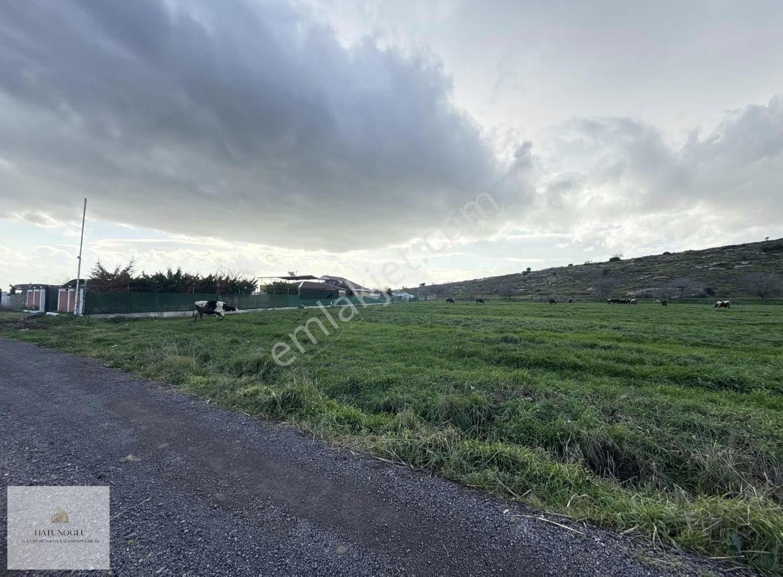 Hatunoğlu'ndan Satılık Eski Foça Yolu'na 200 M 5244 M2 Tarla - Görsel 2