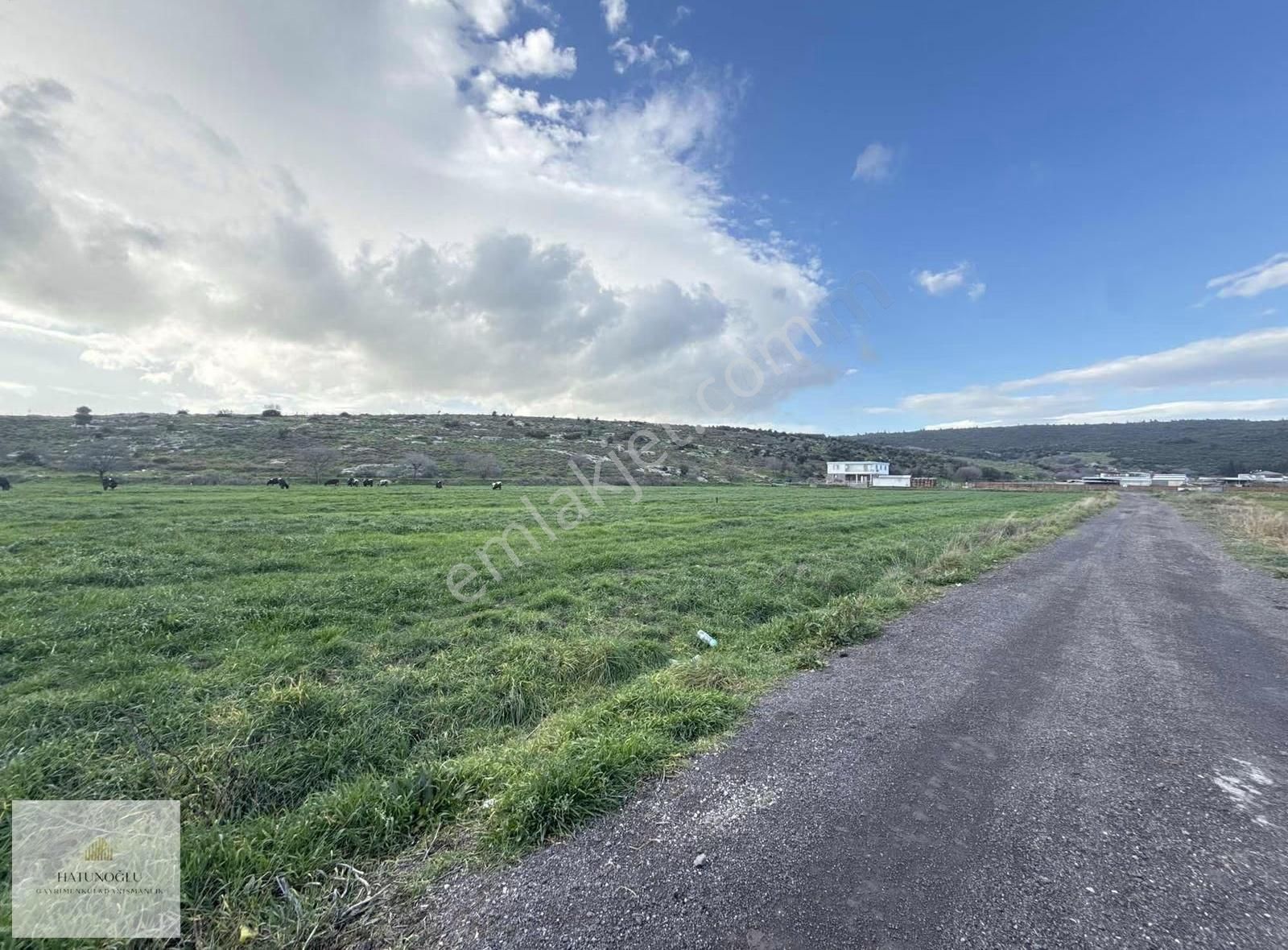 Hatunoğlu'ndan Satılık Eski Foça Yolu'na 200 M 5244 M2 Tarla - Görsel 3