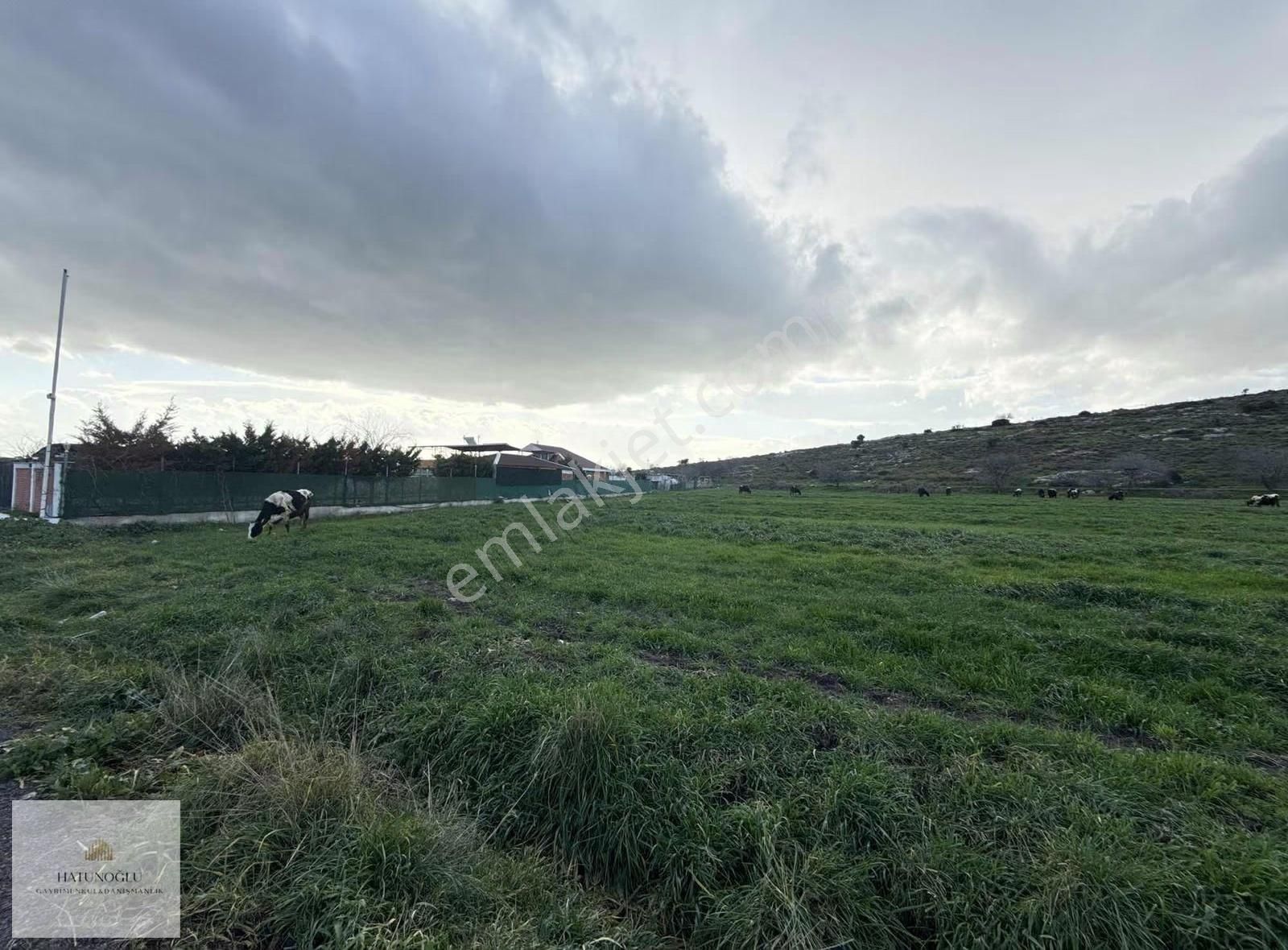 Hatunoğlu'ndan Satılık Eski Foça Yolu'na 200 M 5244 M2 Tarla - Görsel 4