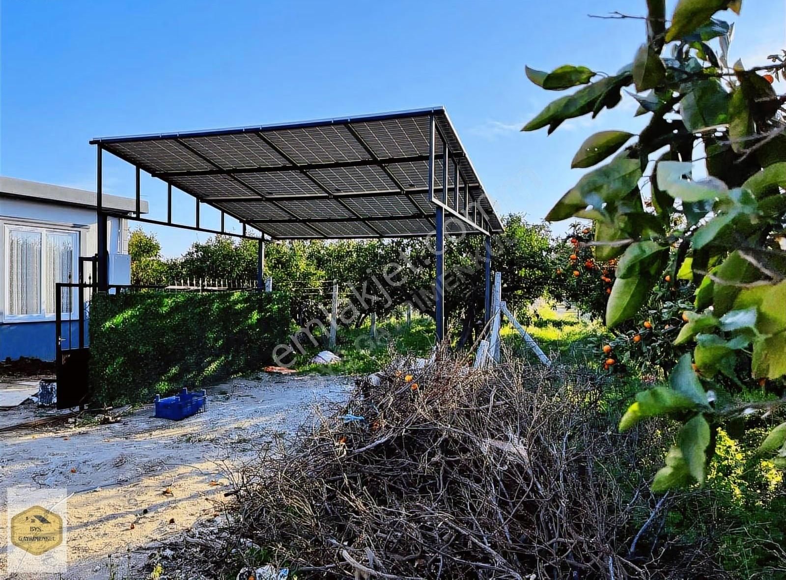 Bys'den Rızai Taksimli Yatırımlık Satılık Mandalina Bahçesi - Görsel 12