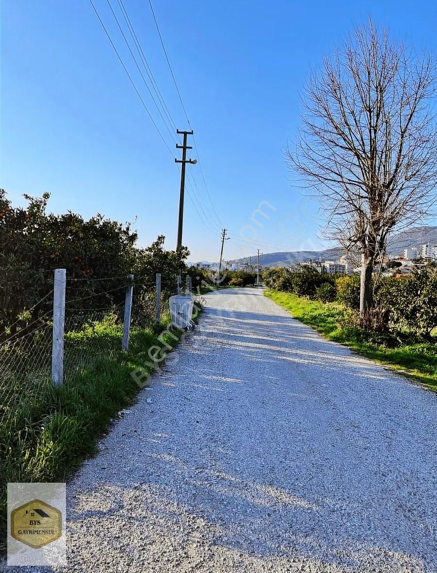 Bys'den Rızai Taksimli Yatırımlık Satılık Mandalina Bahçesi - Görsel 8