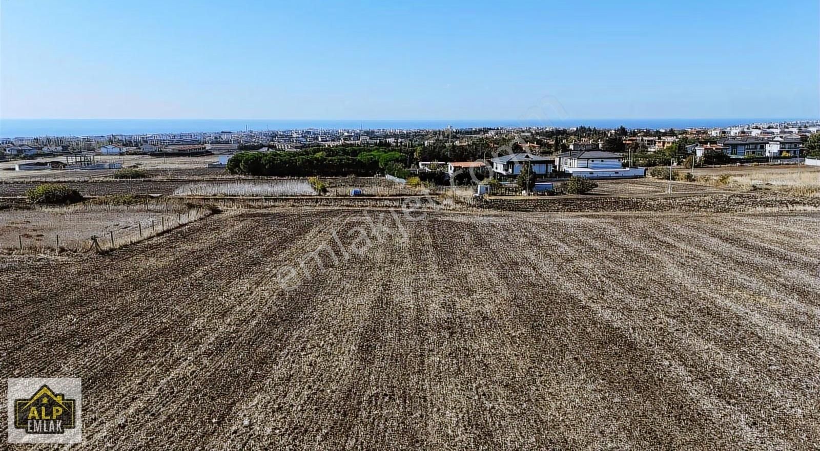 Selimpaşa Doğantepe'de Deniz Manzaralı 3250 M2 Arsa
