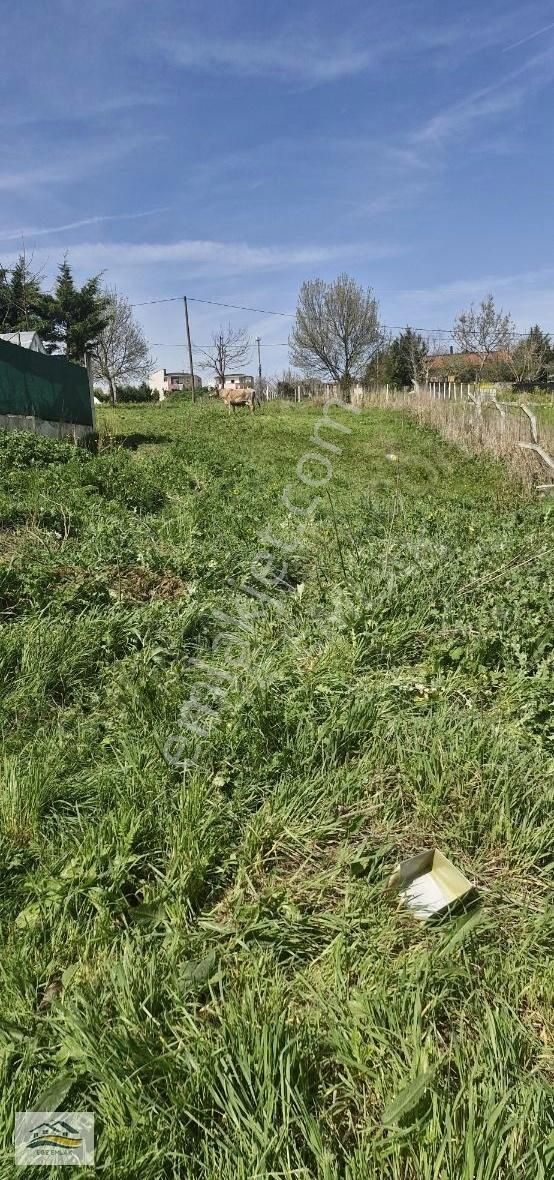 Güney Cephe Muhteşem Konum Fırsat Arsa Merkezi - Görsel 3