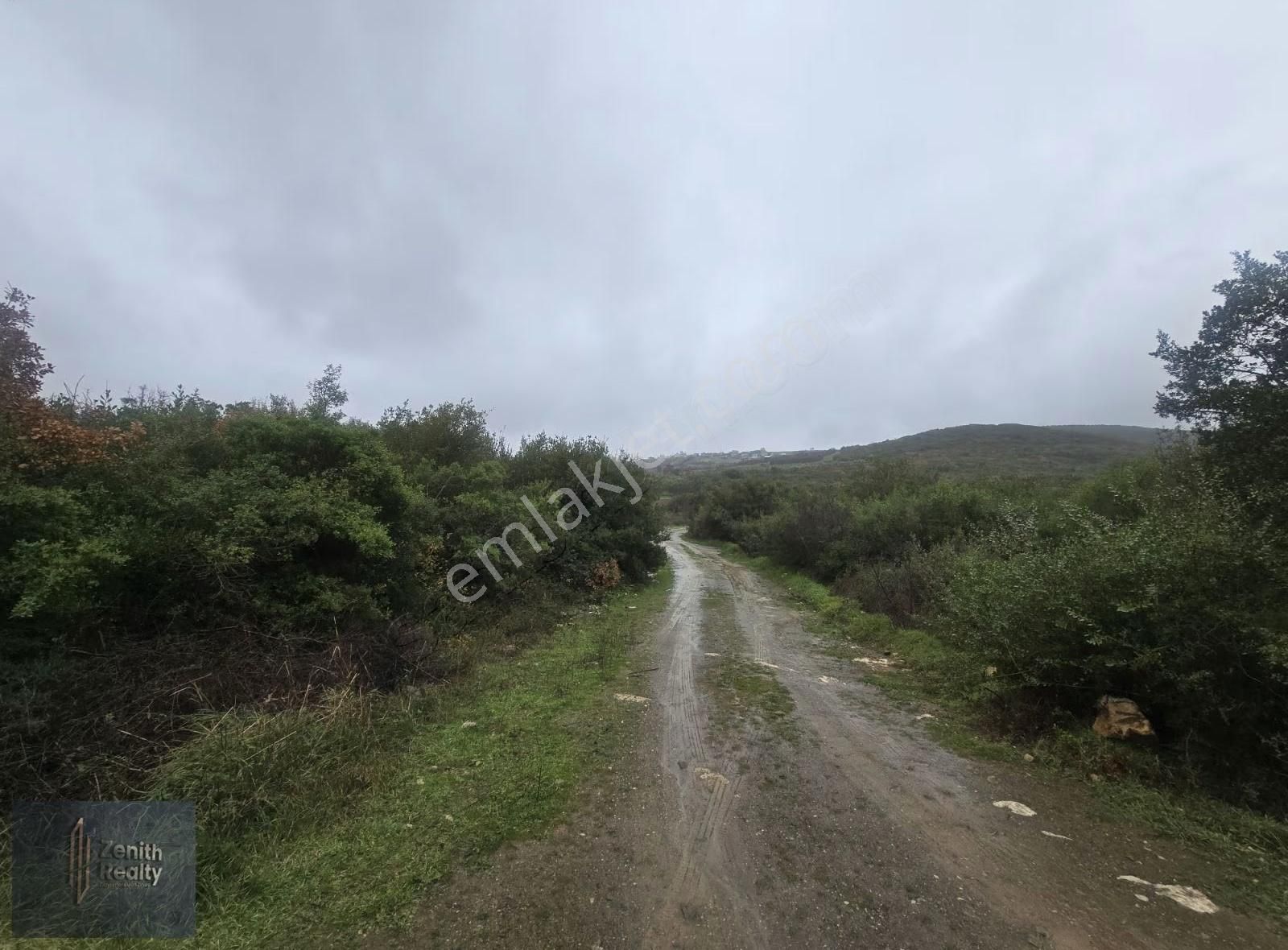 Mudanya Söğütpınar Mahallesinde 3225m2 Satılık Zeytinlik - Görsel 4