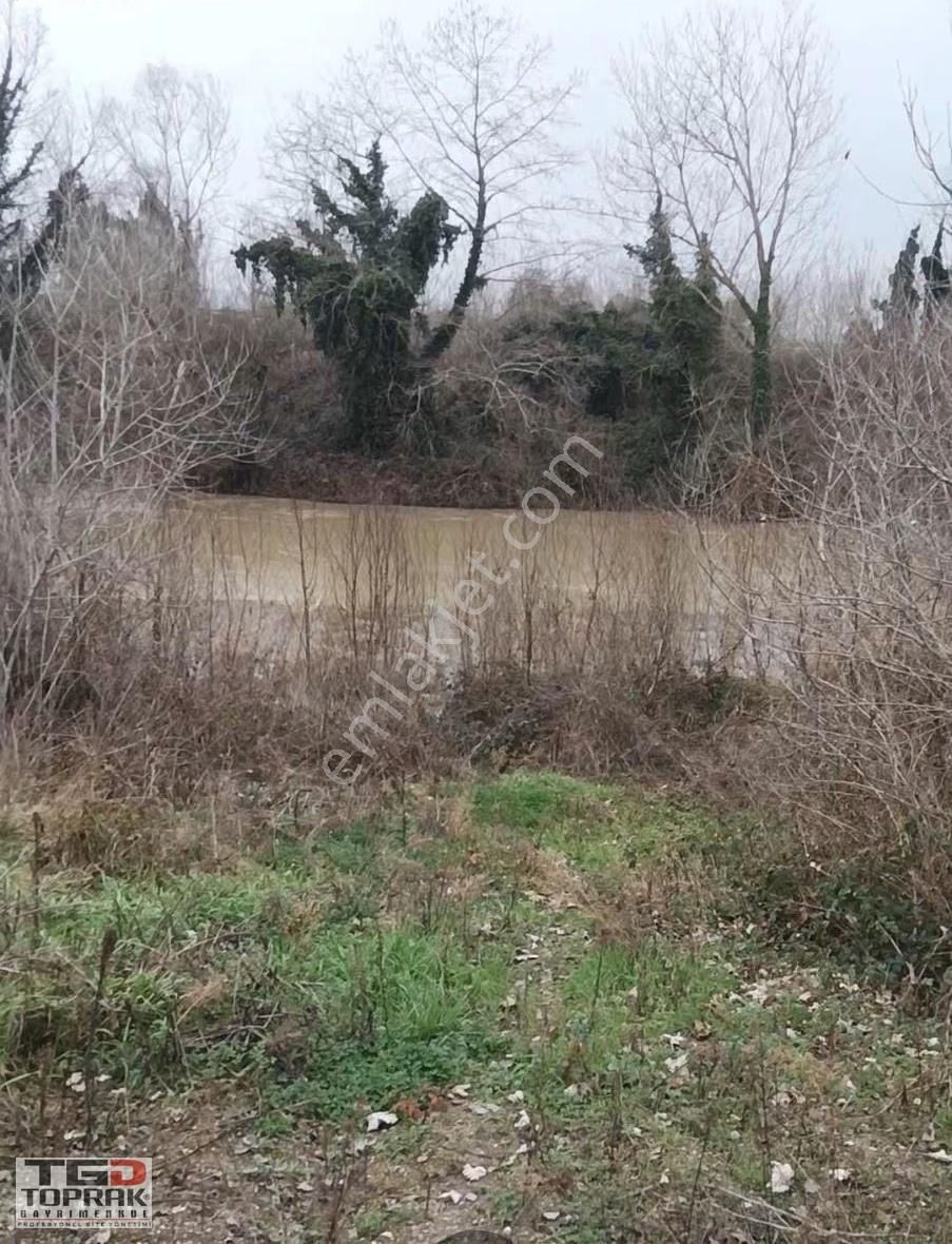 Adapazarı Poyrazlar Satılık Tarla - Görsel 4