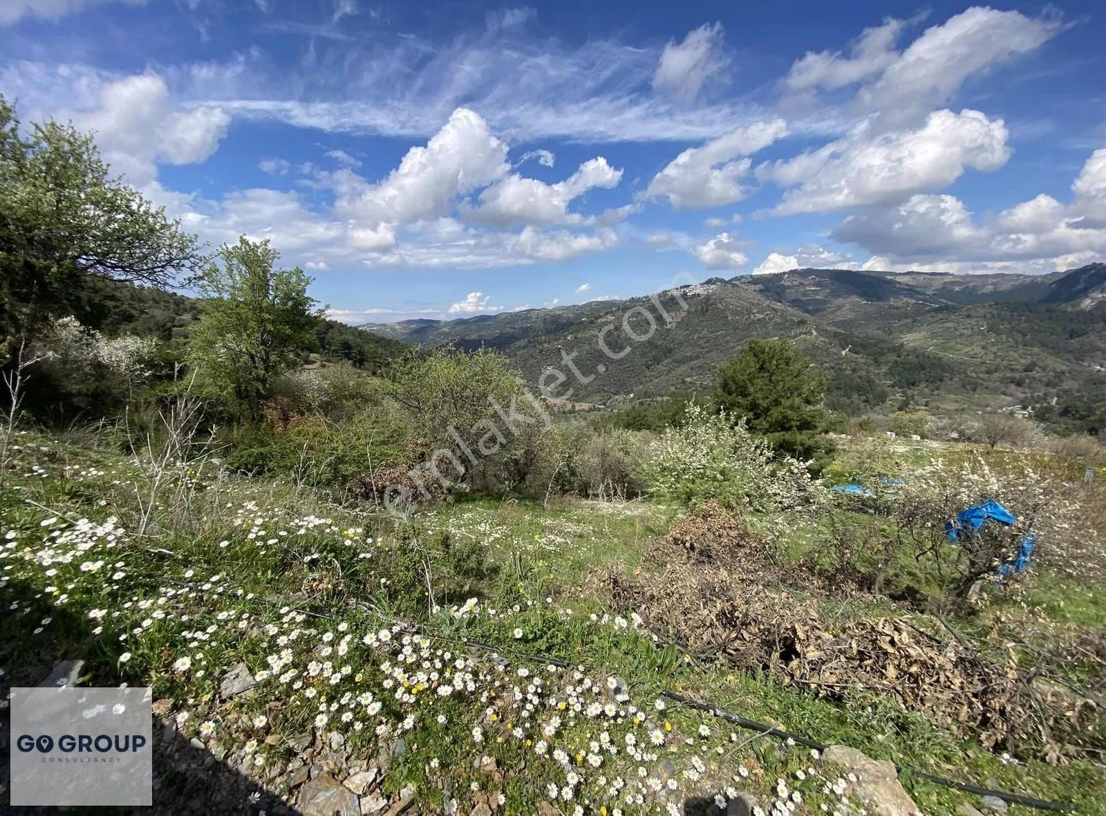 Köyiçi İmarlı Yola Cepheli 978 M2 Bağ - Görsel 5