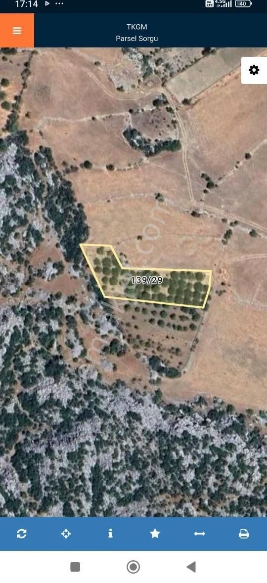 Manavgat 07 Emlaktan Satılık Ceviz Bahçesi