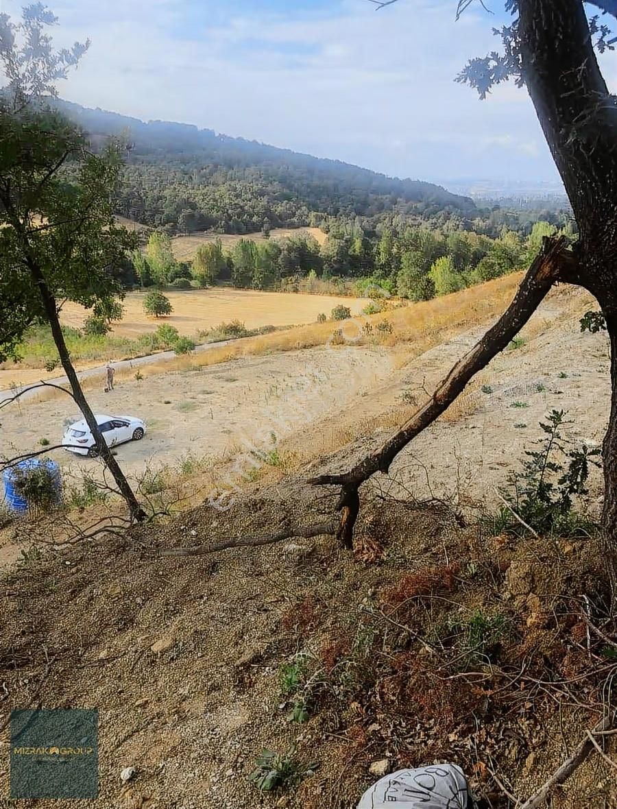 Acil Satılık Yatırımcıya Özel Fırsat! - Görsel 3