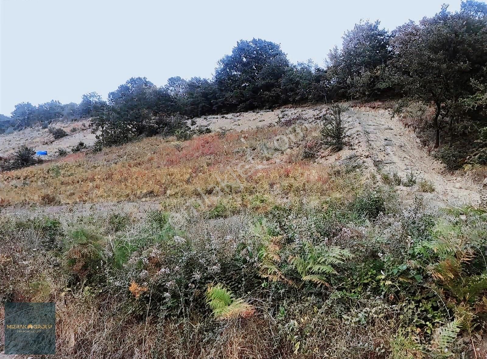 Acil Satılık Yatırımcıya Özel Fırsat! - Görsel 2