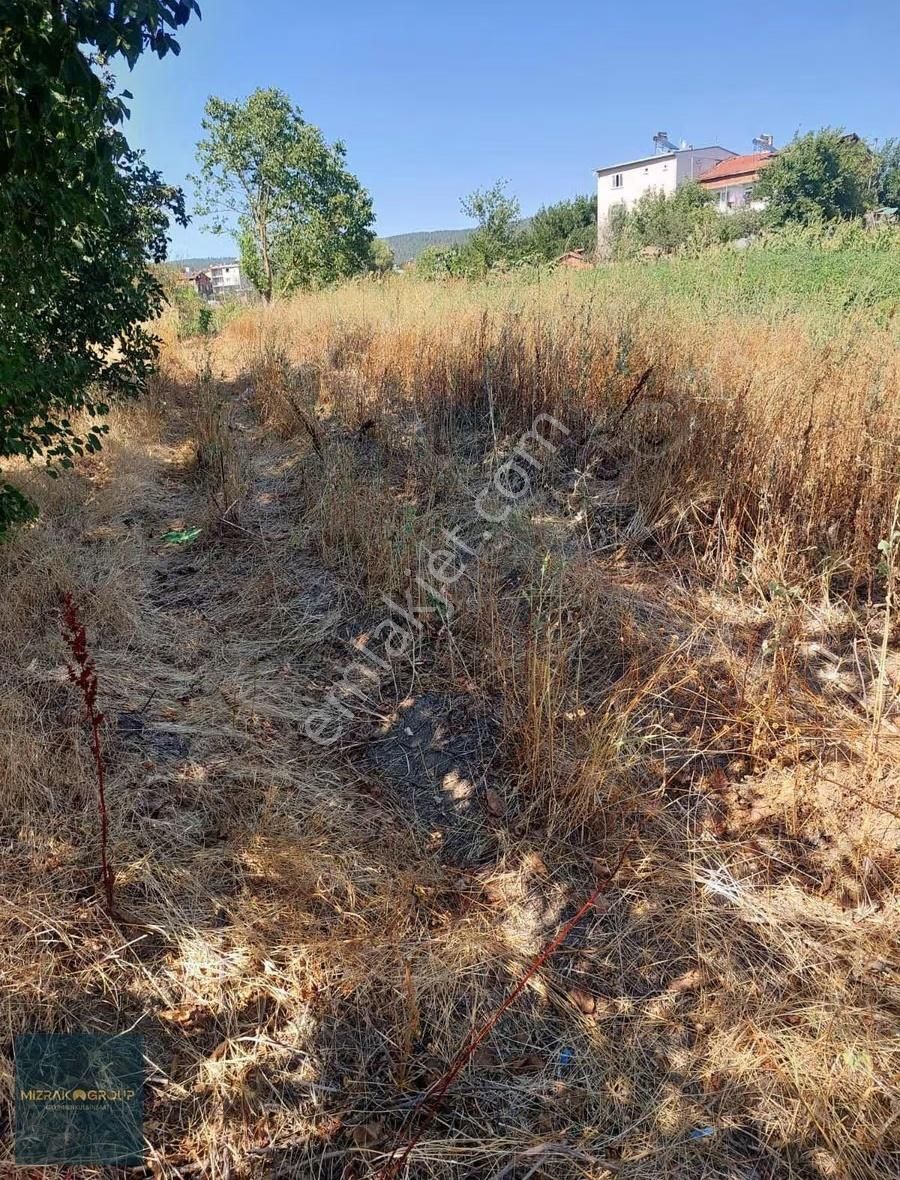 Köy İçinde Dümdüz Tarla Tek Tapu - Görsel 3