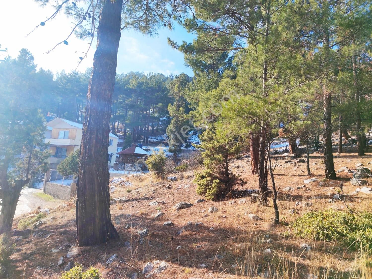 Kar Emlaktan Yenikonacık Kırıntı Mevkiinde 300 M2 Satılık Arsa