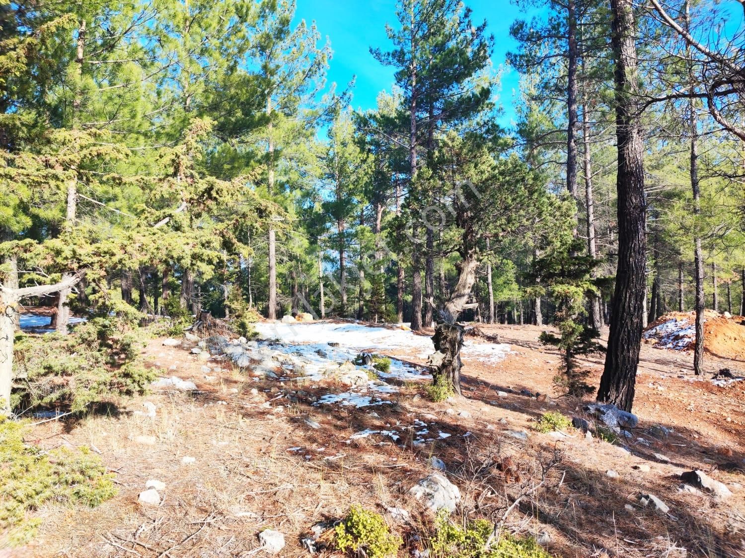 Kar Emlaktan Yenikonacık Kırıntı Mevkiinde 300 M2 Satılık Arsa - Görsel 6