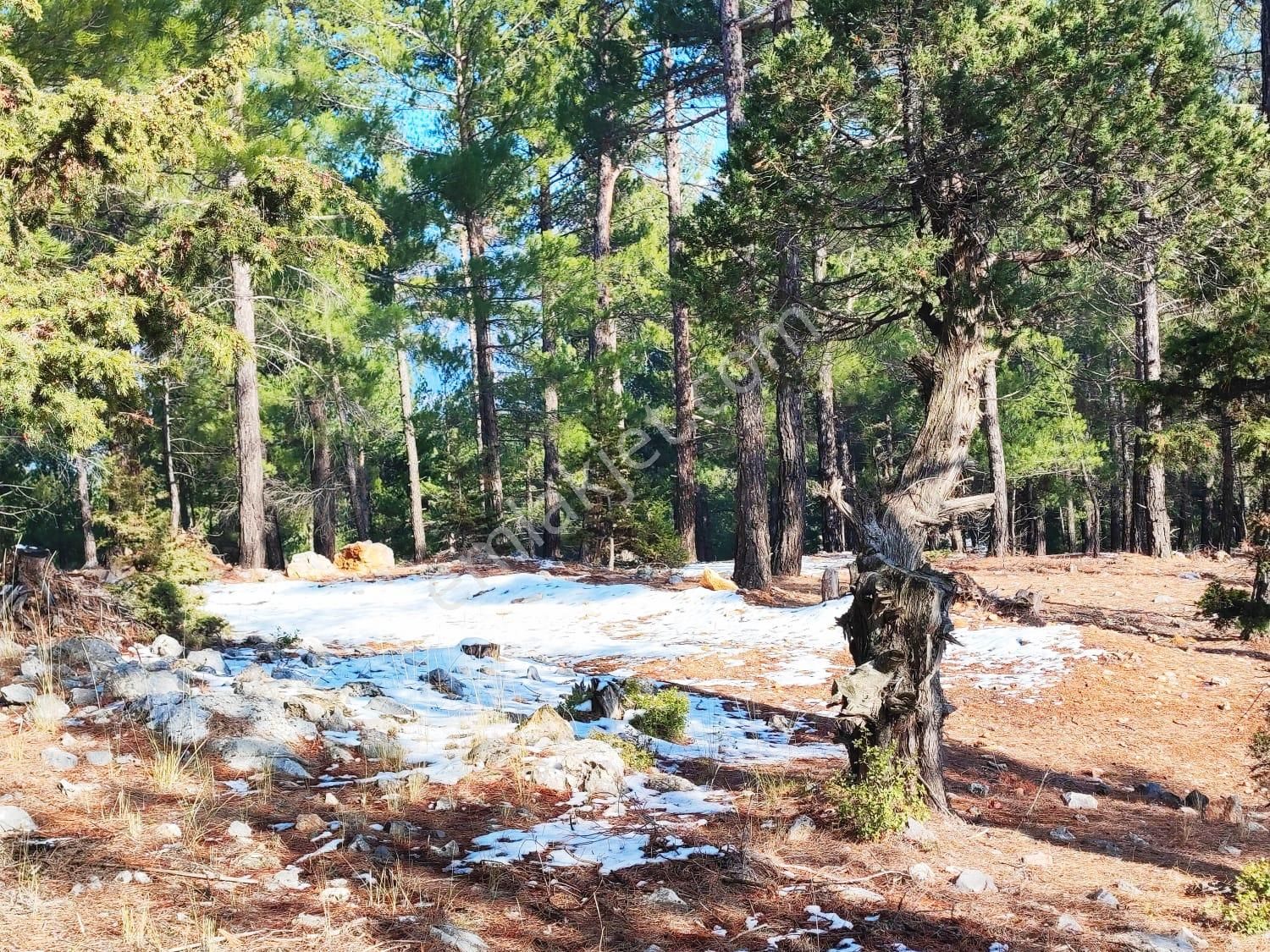 Kar Emlaktan Yenikonacık Kırıntı Mevkiinde 300 M2 Satılık Arsa - Görsel 26