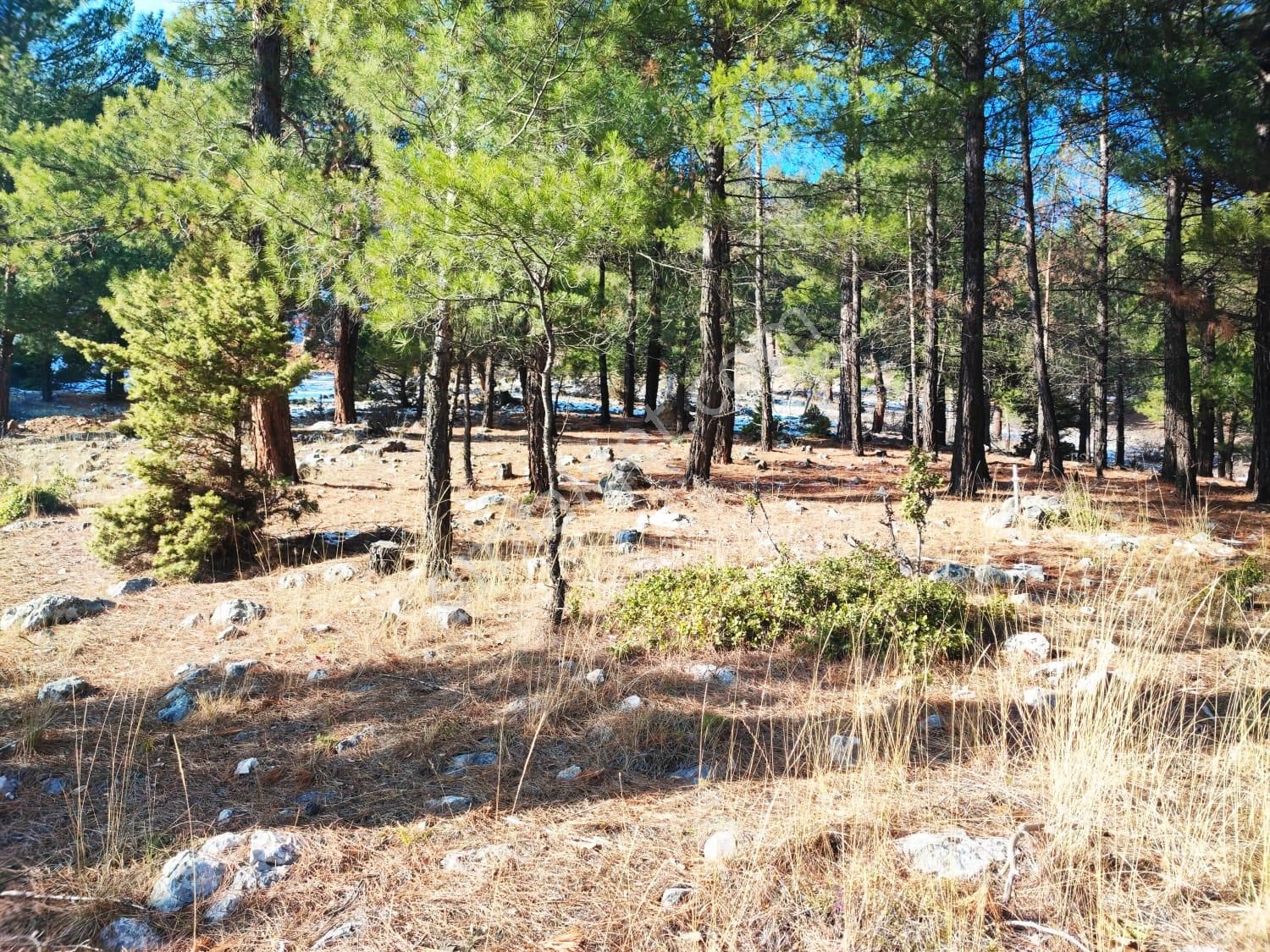 Kar Emlaktan Yenikonacık Kırıntı Mevkiinde 300 M2 Satılık Arsa - Görsel 28