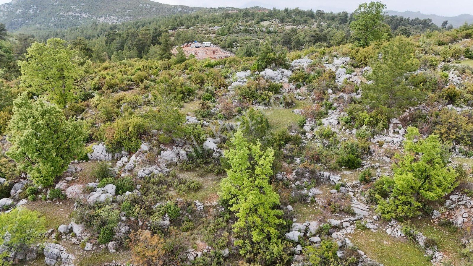 Alanya Karamanlarda Satılık 3.600 M2 Tarla - Görsel 8
