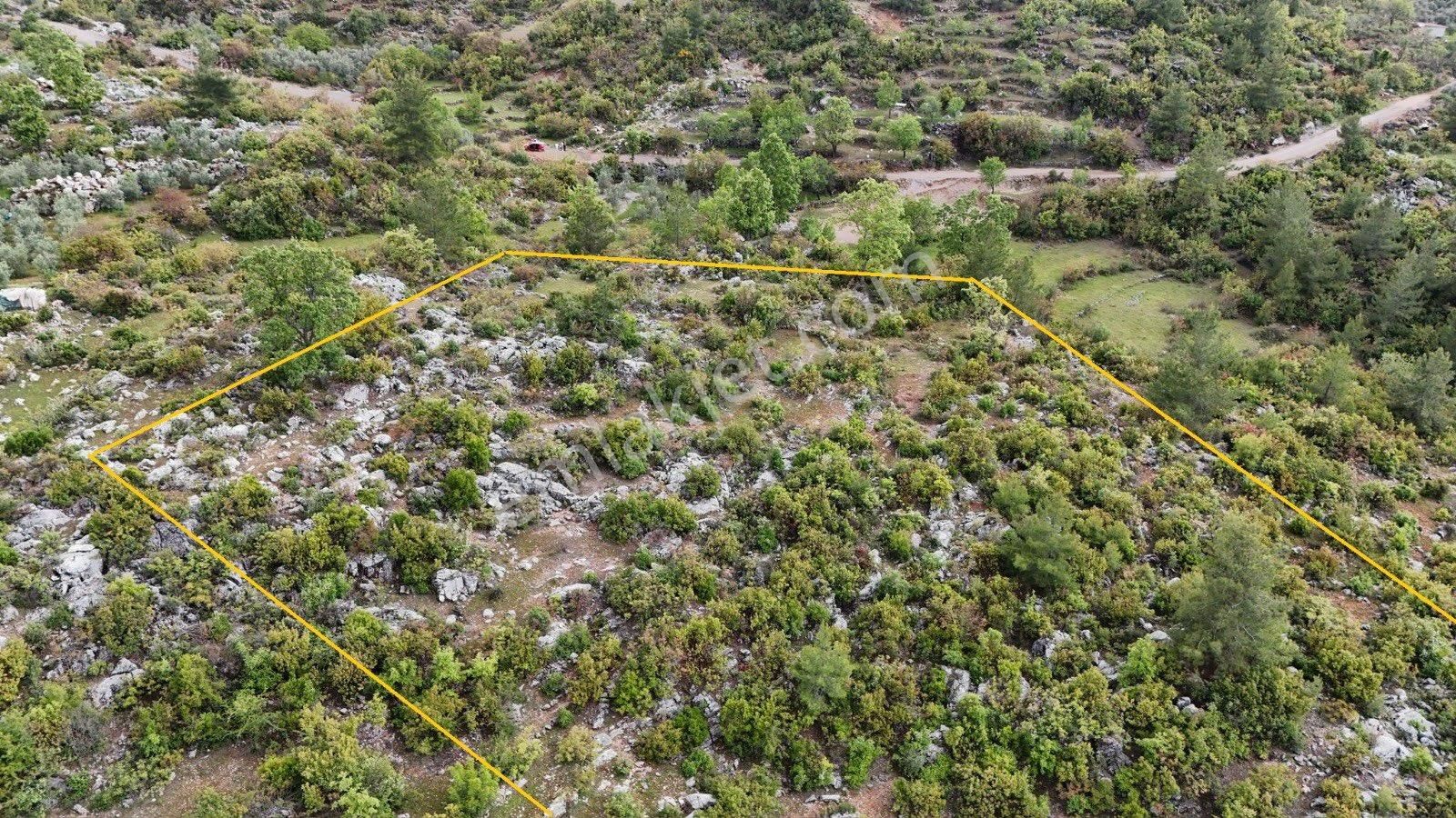 Alanya Karamanlarda Satılık 3.600 M2 Tarla - Görsel 7