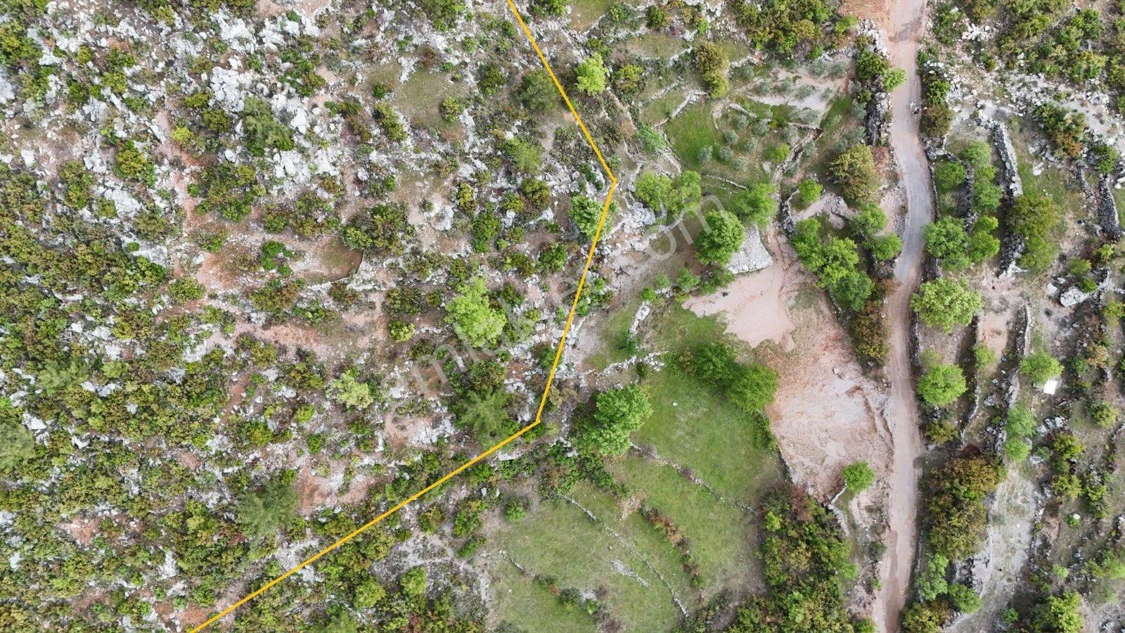 Alanya Karamanlarda Satılık 3.600 M2 Tarla - Görsel 9