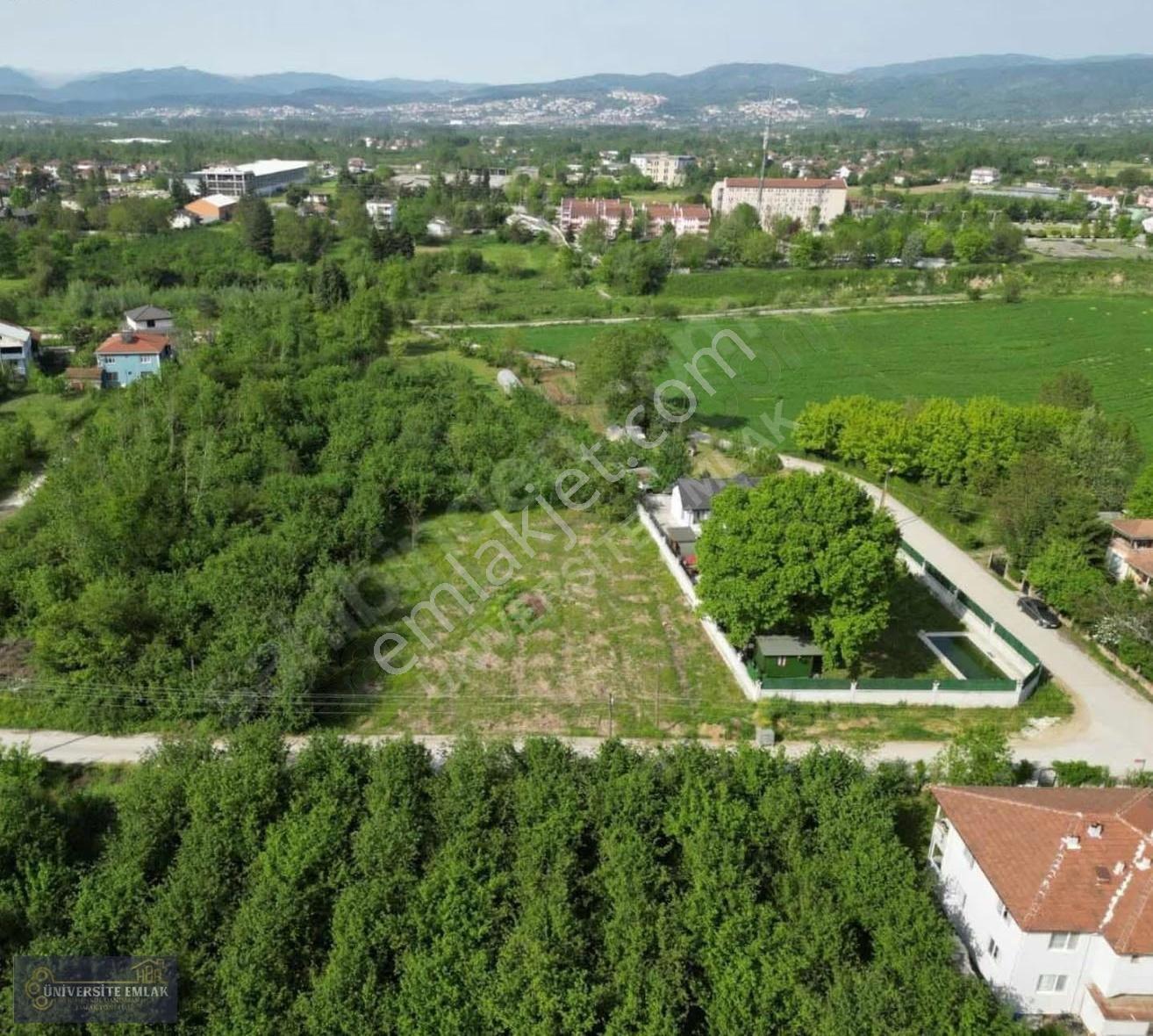 Düzce Şıralıkda 400m2 Villa Havuz Ruhsatlı Satılık 1235 M2 Arsa - Görsel 2