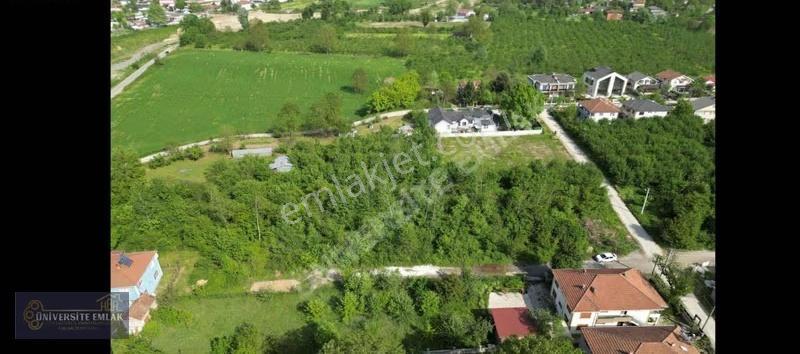Düzce Şıralıkda 400m2 Villa Havuz Ruhsatlı Satılık 1235 M2 Arsa - Görsel 22