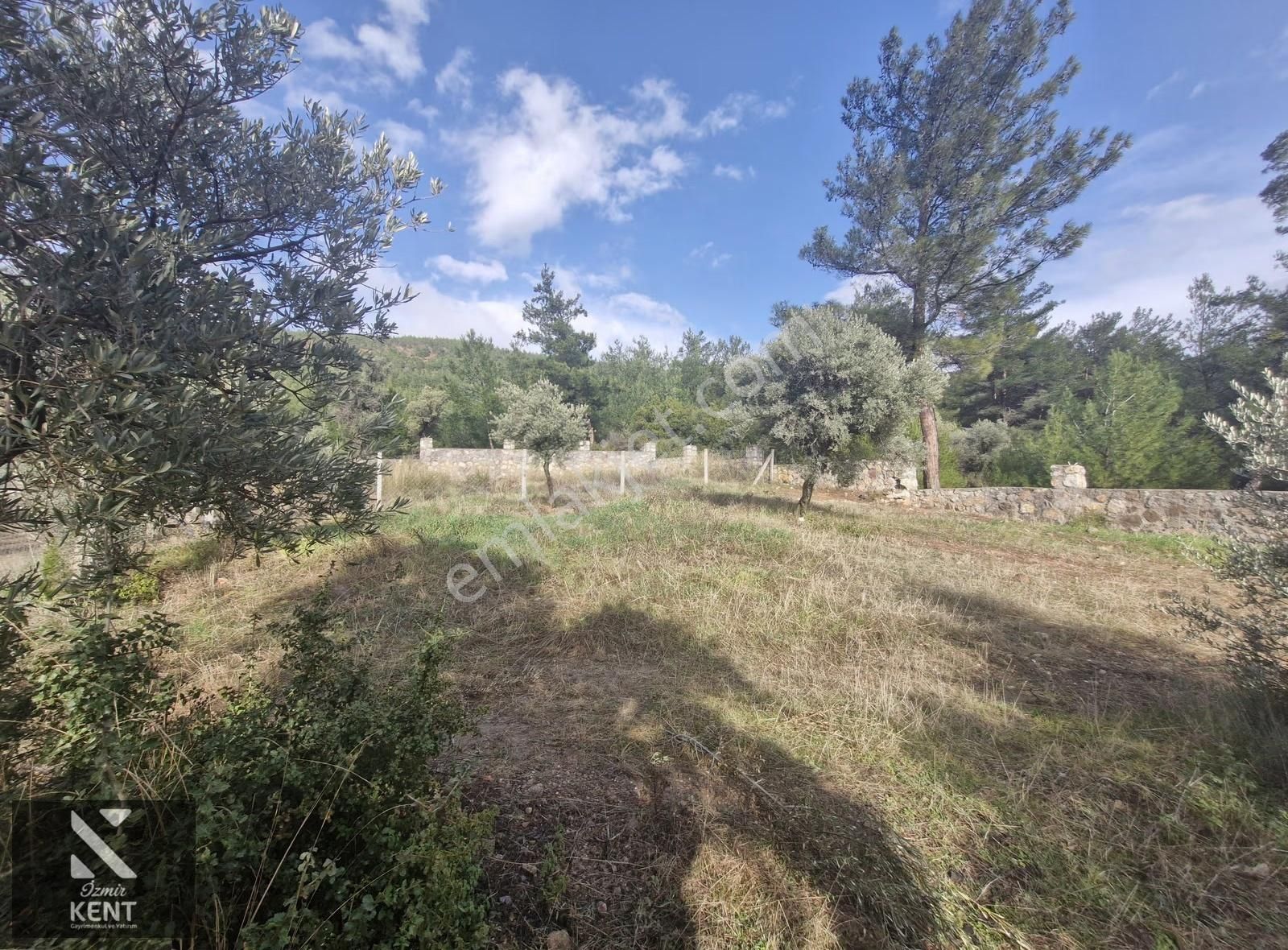 Kemalpaşa Dereköy Satılık 315 M2 Merkezde Tapulu Bahçe - Görsel 13