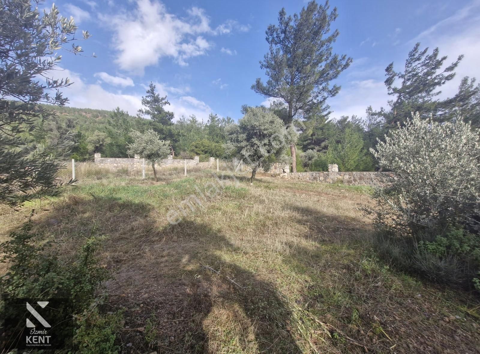 Kemalpaşa Dereköy Satılık 315 M2 Merkezde Tapulu Bahçe - Görsel 9